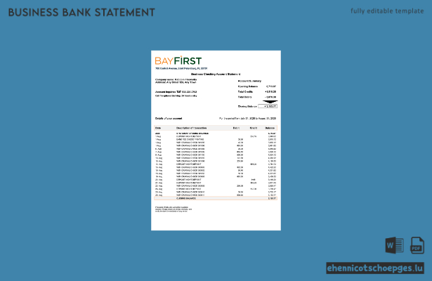 Organisationserklärung von USA Bay First (Word- und PDF-Beispiel)